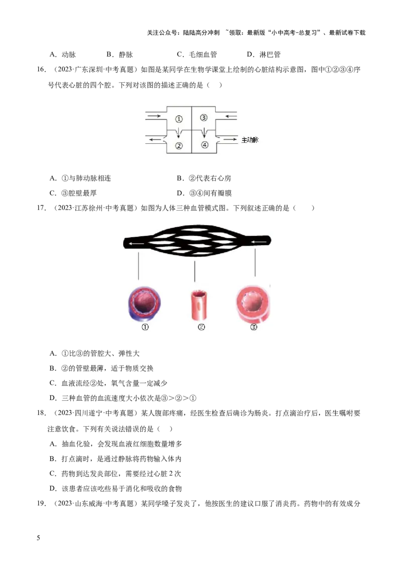 专题06人体内物质的运输及废物的排出（全国通用）（原卷版）_02中考总复习（2026版更新中）_08-生物-中考总复习_2026年中考复习（更新中）