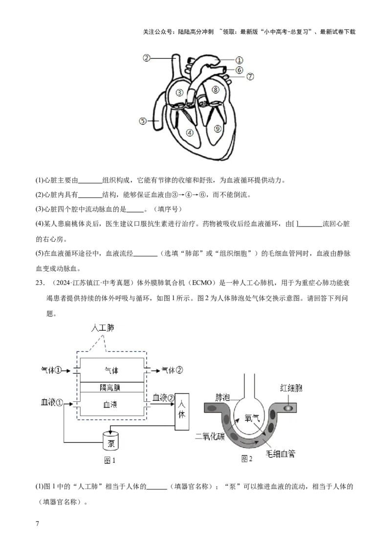专题06人体内物质的运输及废物的排出（全国通用）（原卷版）_02中考总复习（2026版更新中）_08-生物-中考总复习_2026年中考复习（更新中）
