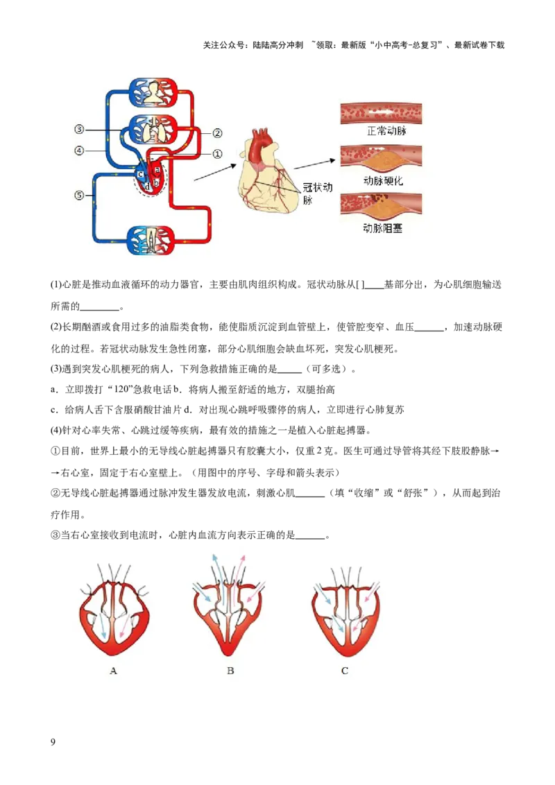 专题06人体内物质的运输及废物的排出（全国通用）（原卷版）_02中考总复习（2026版更新中）_08-生物-中考总复习_2026年中考复习（更新中）