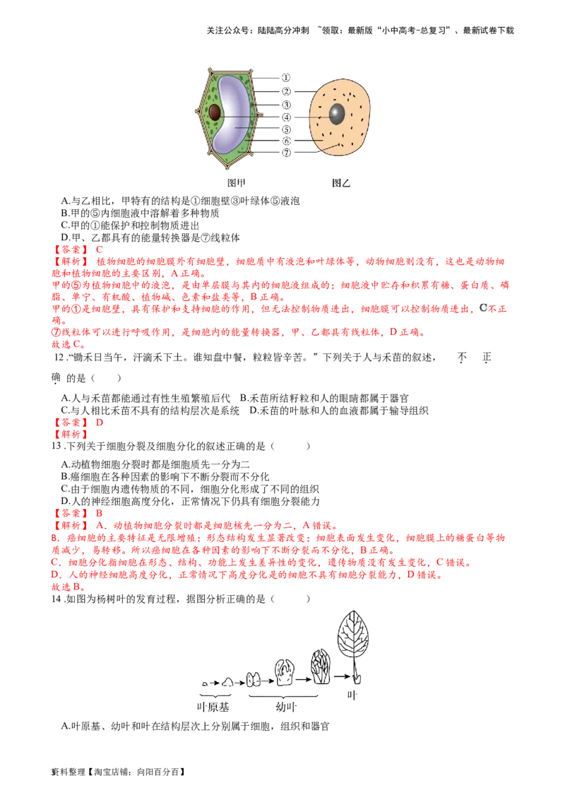专题04观察生物的结构（解析版）_02中考总复习（2026版更新中）_08-生物-中考总复习_2024年中考复习资料_一轮复习_配套练习_教师版（含答案解析）