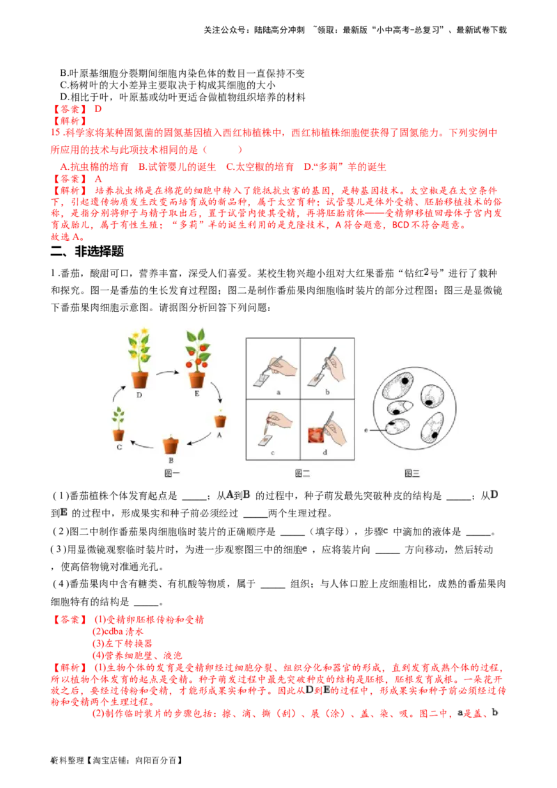 专题04观察生物的结构（解析版）_02中考总复习（2026版更新中）_08-生物-中考总复习_2024年中考复习资料_一轮复习_配套练习_教师版（含答案解析）