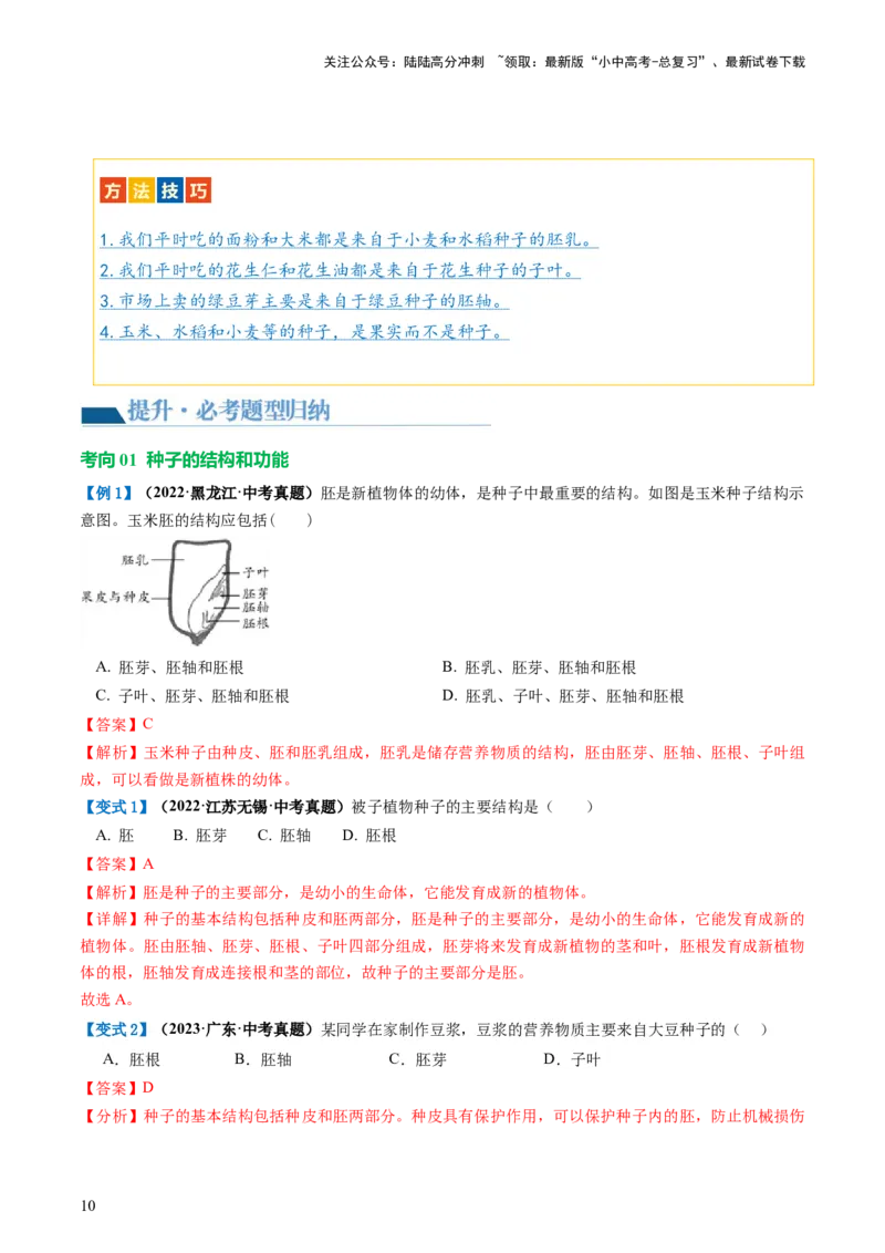 专题04生物圈中有哪些绿色植物（讲义）（解析版）_02中考总复习（2026版更新中）_08-生物-中考总复习_2024年中考复习资料_一轮复习_❤2024年中考生物一轮复习讲练测（全国通用）_讲义