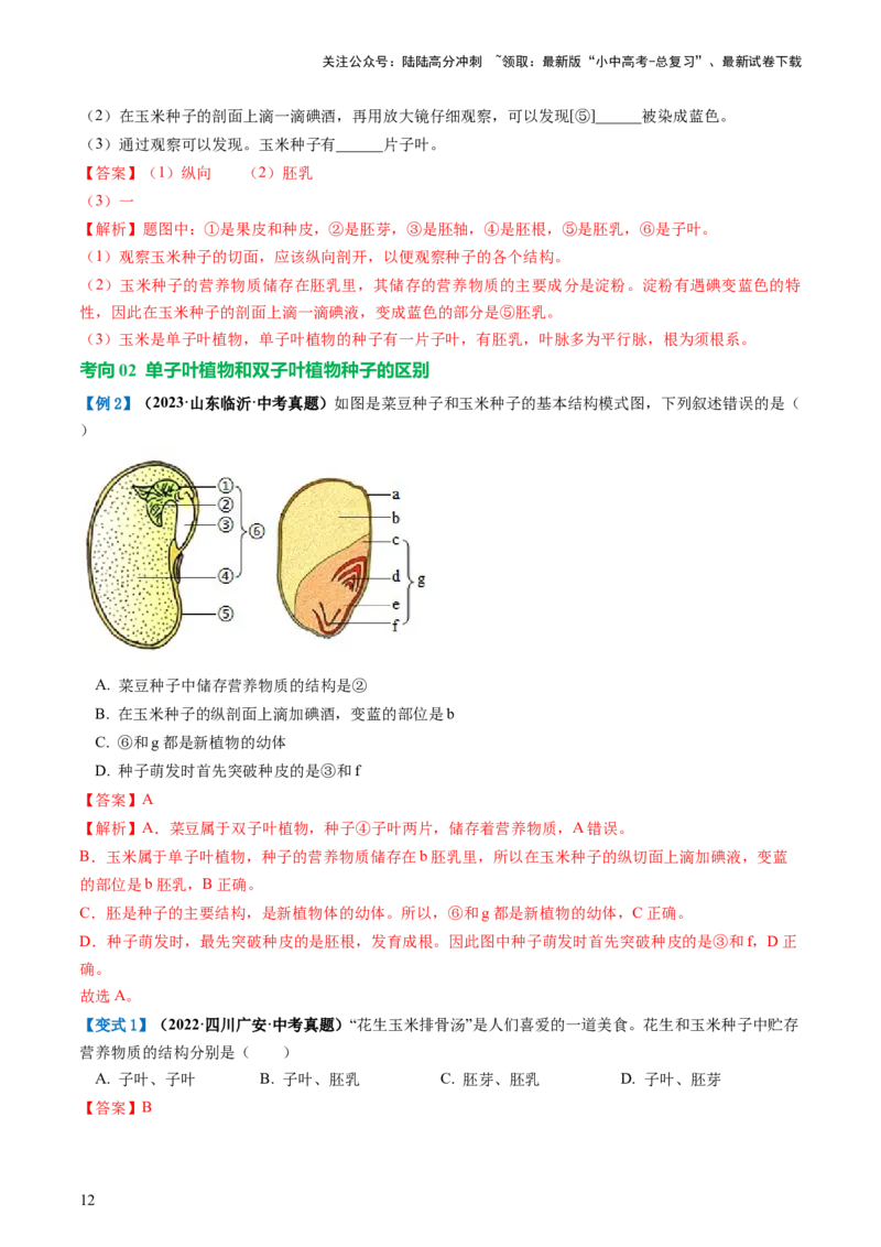 专题04生物圈中有哪些绿色植物（讲义）（解析版）_02中考总复习（2026版更新中）_08-生物-中考总复习_2024年中考复习资料_一轮复习_❤2024年中考生物一轮复习讲练测（全国通用）_讲义