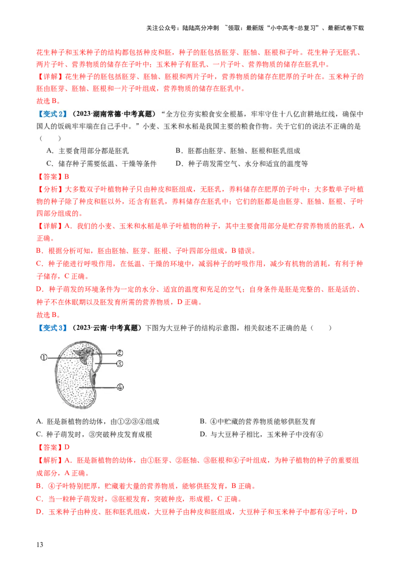 专题04生物圈中有哪些绿色植物（讲义）（解析版）_02中考总复习（2026版更新中）_08-生物-中考总复习_2024年中考复习资料_一轮复习_❤2024年中考生物一轮复习讲练测（全国通用）_讲义