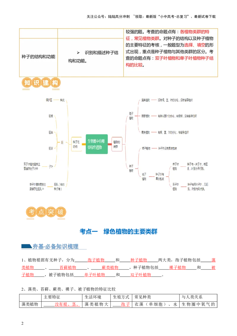 专题04生物圈中有哪些绿色植物（讲义）（解析版）_02中考总复习（2026版更新中）_08-生物-中考总复习_2024年中考复习资料_一轮复习_❤2024年中考生物一轮复习讲练测（全国通用）_讲义
