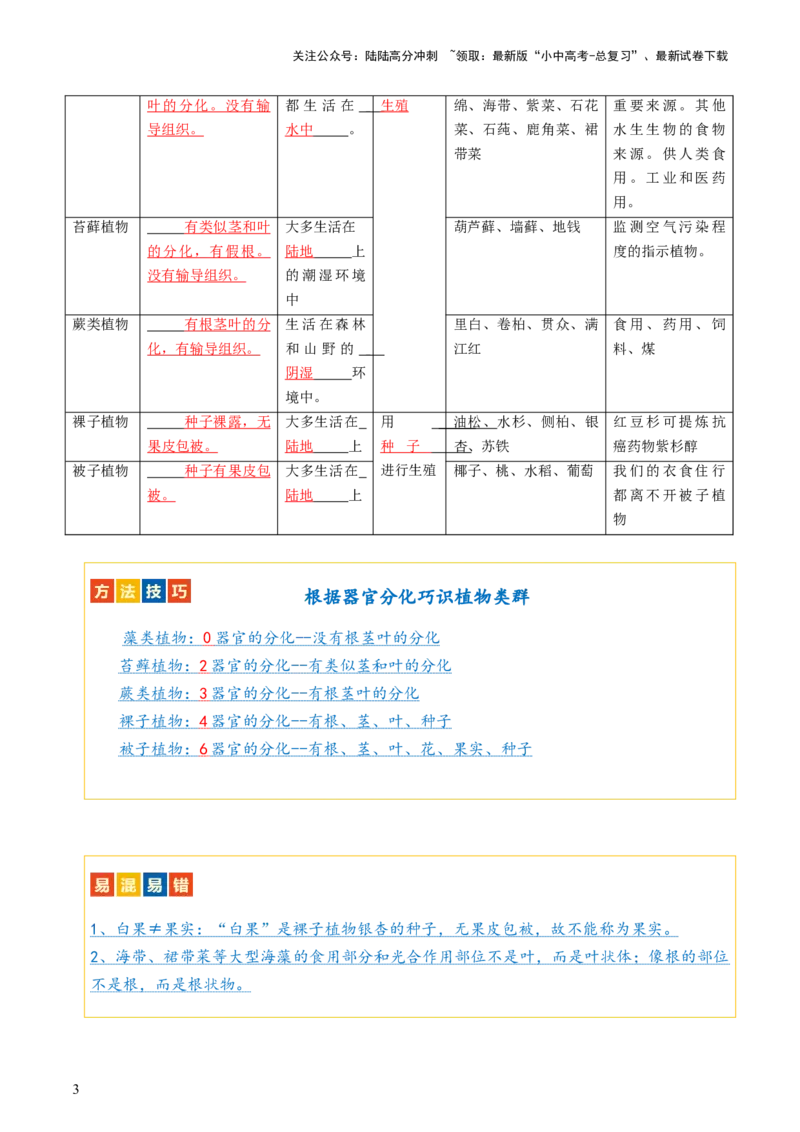 专题04生物圈中有哪些绿色植物（讲义）（解析版）_02中考总复习（2026版更新中）_08-生物-中考总复习_2024年中考复习资料_一轮复习_❤2024年中考生物一轮复习讲练测（全国通用）_讲义
