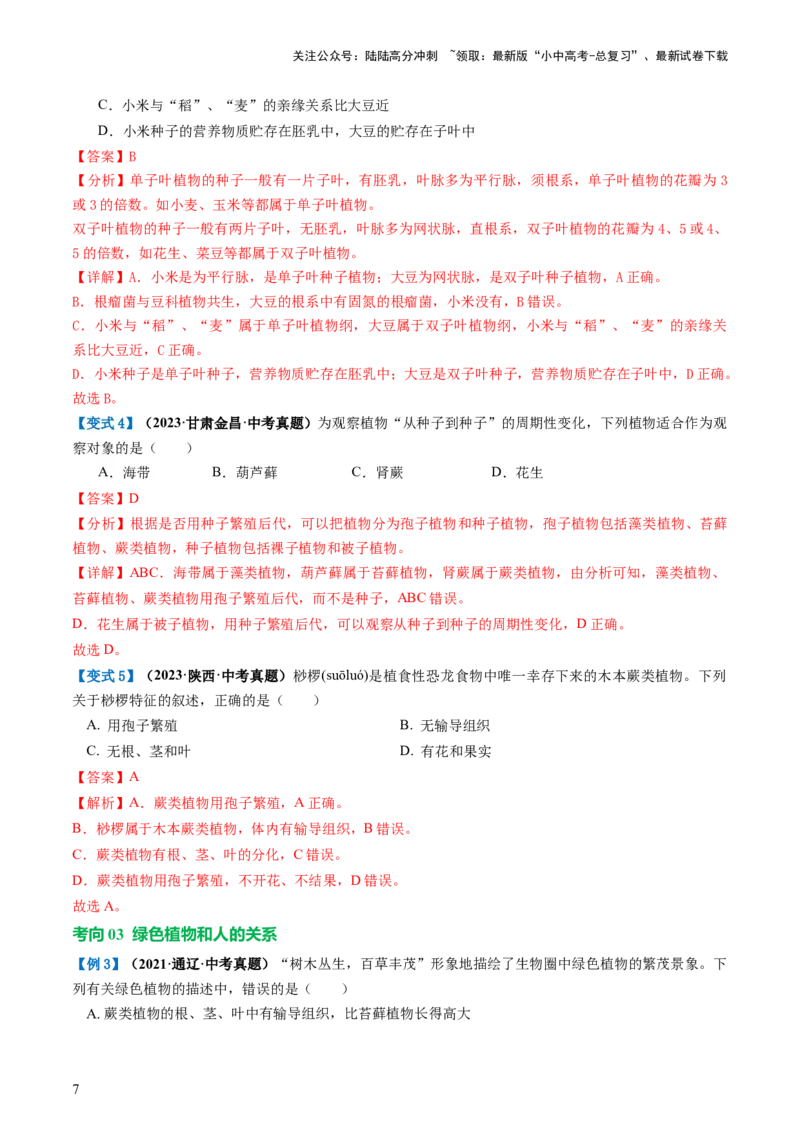 专题04生物圈中有哪些绿色植物（讲义）（解析版）_02中考总复习（2026版更新中）_08-生物-中考总复习_2024年中考复习资料_一轮复习_❤2024年中考生物一轮复习讲练测（全国通用）_讲义