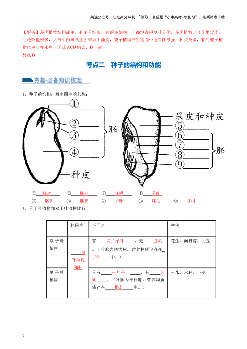 专题04生物圈中有哪些绿色植物（讲义）（解析版）_02中考总复习（2026版更新中）_08-生物-中考总复习_2024年中考复习资料_一轮复习_❤2024年中考生物一轮复习讲练测（全国通用）_讲义