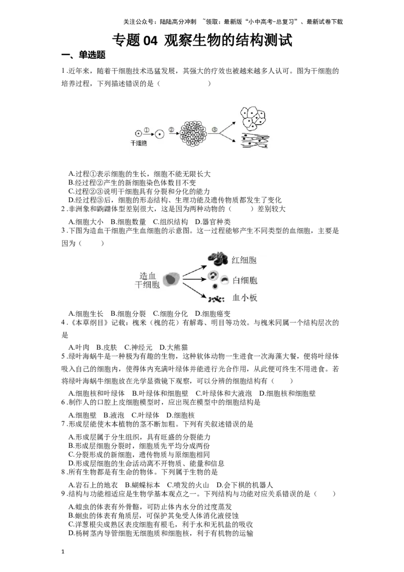 专题04观察生物的结构（原卷版）_02中考总复习（2026版更新中）_08-生物-中考总复习_2024年中考复习资料_一轮复习_配套练习