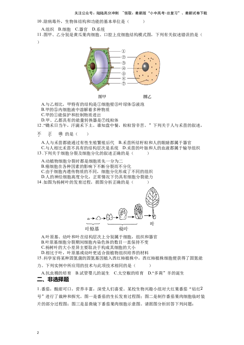 专题04观察生物的结构（原卷版）_02中考总复习（2026版更新中）_08-生物-中考总复习_2024年中考复习资料_一轮复习_配套练习