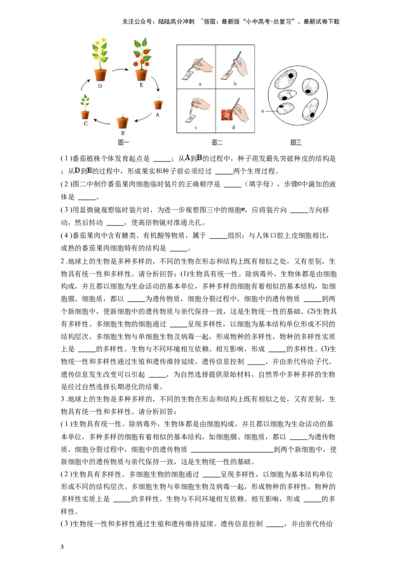 专题04观察生物的结构（原卷版）_02中考总复习（2026版更新中）_08-生物-中考总复习_2024年中考复习资料_一轮复习_配套练习