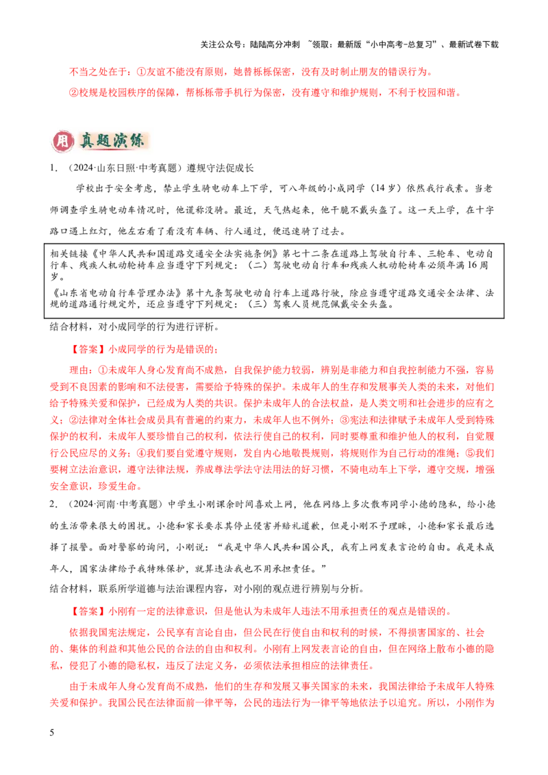 专题05主观题答题技巧（评析类、辨析或判断类）（解析版）_02中考总复习（2026版更新中）_07-道法-中考总复习_2025中考复习资料_2025年中考道德与法治答题方法模板