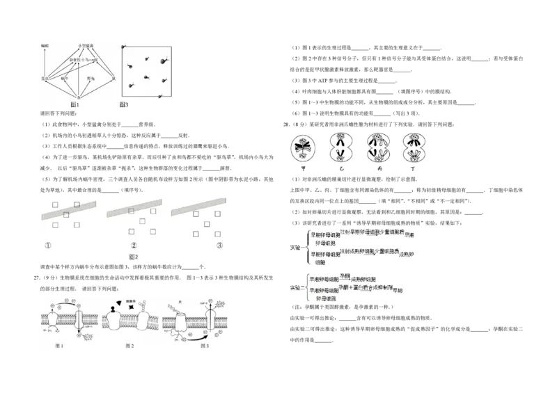 2014年江苏省高考生物试卷_全国卷+地方卷_6.生物_1.生物高考真题试卷_2008-2020年_地方卷_江苏高考生物07-20_A3word版_PDF版（赠送）