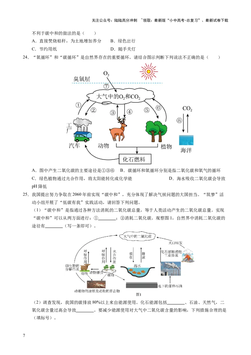 专题05碳和碳的氧化物（练习）（原卷版）_02中考总复习（2026版更新中）_05-化学-中考总复习_2025年中考复习资料_2025中考化学一轮复习讲义+课件_练习_专题05碳和碳的氧化物（练习）