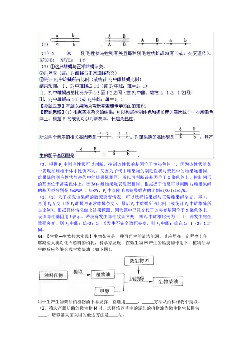 2010年高考真题生物（山东卷）（解析版）_全国卷+地方卷_6.生物_1.生物高考真题试卷_2008-2020年_地方卷_山东高考生物08-21_山东高考生物_A4版_pdf版