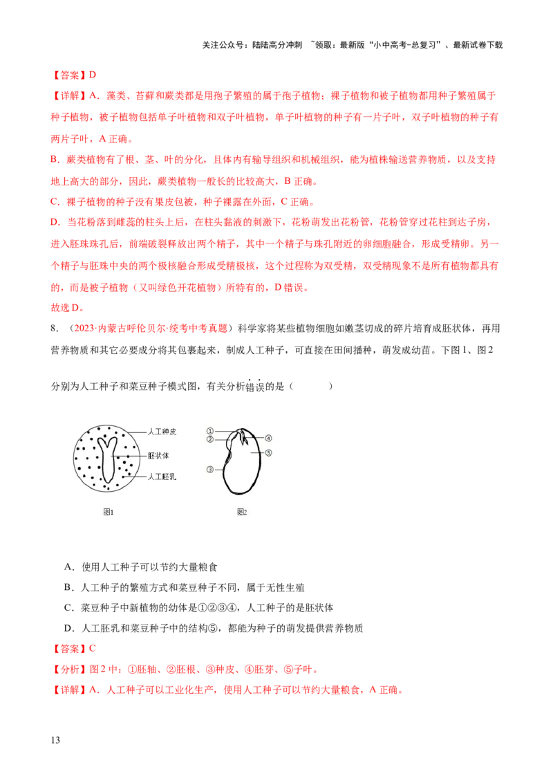 专题04生物圈中有哪些绿色植物（解析版）_02中考总复习（2026版更新中）_08-生物-中考总复习_2024年中考复习资料_一轮复习_❤备战2024年中考生物一轮复习考点帮（全国通用）_练习