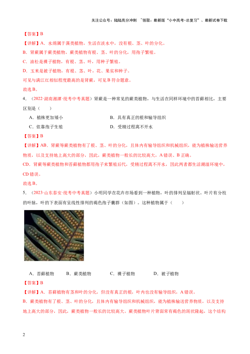 专题04生物圈中有哪些绿色植物（解析版）_02中考总复习（2026版更新中）_08-生物-中考总复习_2024年中考复习资料_一轮复习_❤备战2024年中考生物一轮复习考点帮（全国通用）_练习