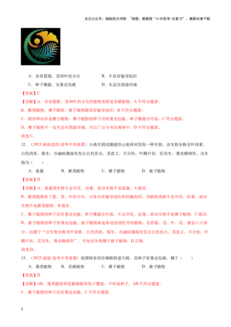 专题04生物圈中有哪些绿色植物（解析版）_02中考总复习（2026版更新中）_08-生物-中考总复习_2024年中考复习资料_一轮复习_❤备战2024年中考生物一轮复习考点帮（全国通用）_练习