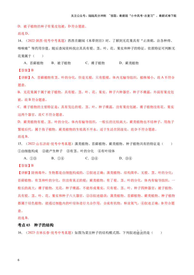 专题04生物圈中有哪些绿色植物（解析版）_02中考总复习（2026版更新中）_08-生物-中考总复习_2024年中考复习资料_一轮复习_❤备战2024年中考生物一轮复习考点帮（全国通用）_练习
