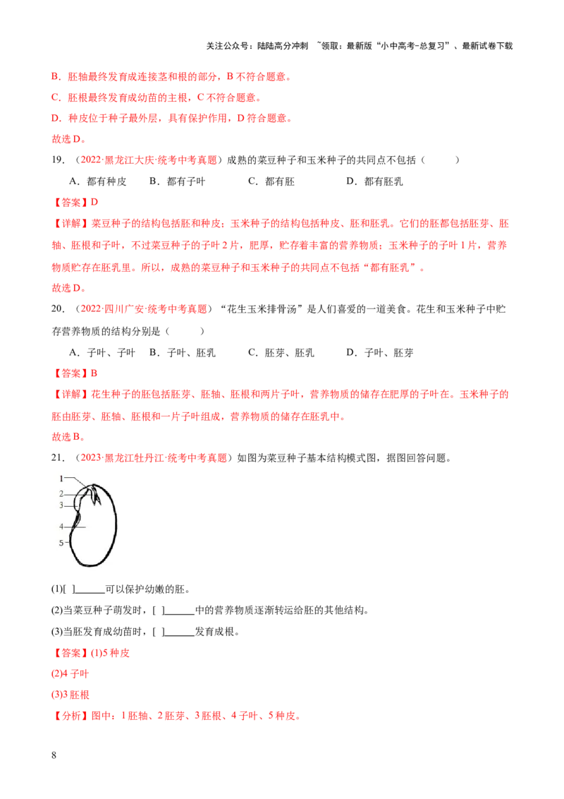专题04生物圈中有哪些绿色植物（解析版）_02中考总复习（2026版更新中）_08-生物-中考总复习_2024年中考复习资料_一轮复习_❤备战2024年中考生物一轮复习考点帮（全国通用）_练习