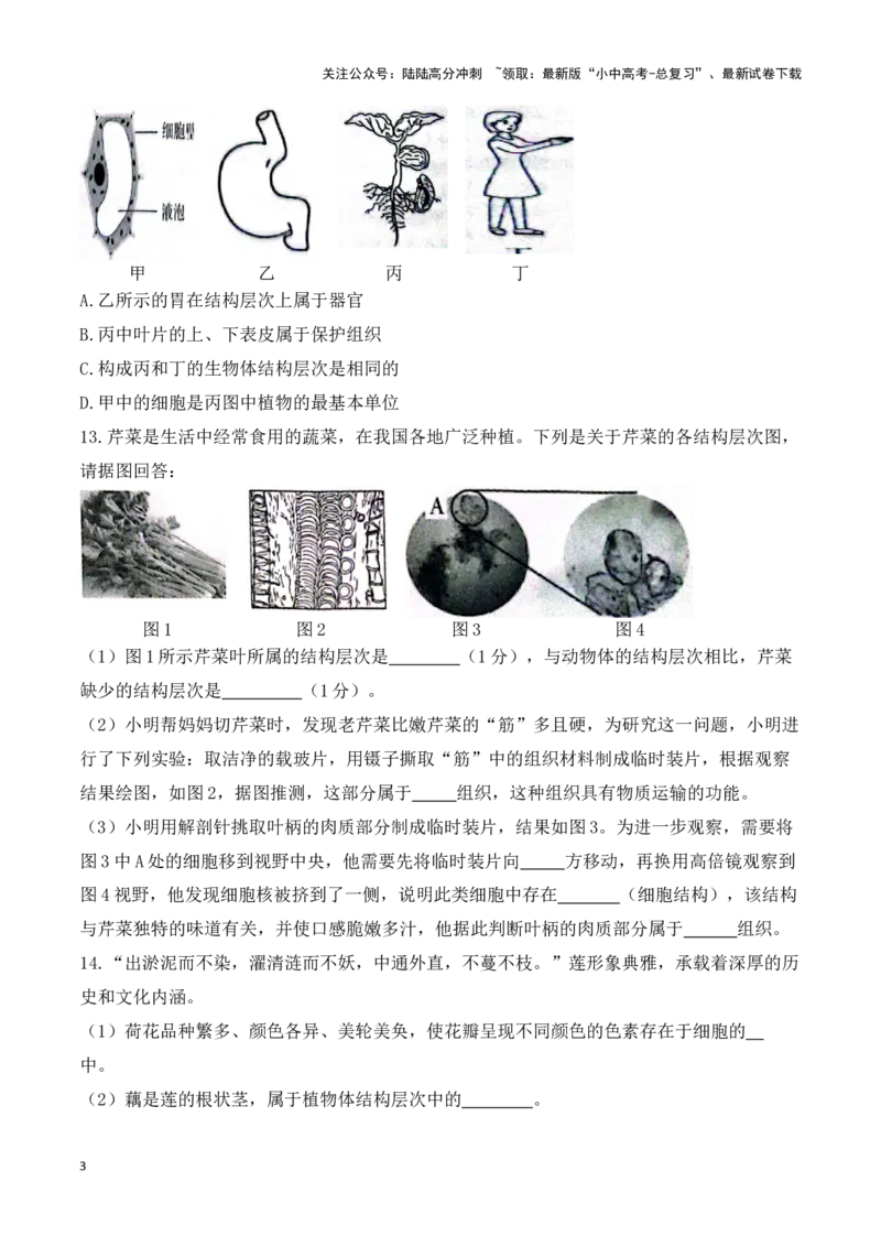 专题05生物体的结构层次（原卷版）_02中考总复习（2026版更新中）_08-生物-中考总复习_2024年中考复习资料_一轮复习_配套练习