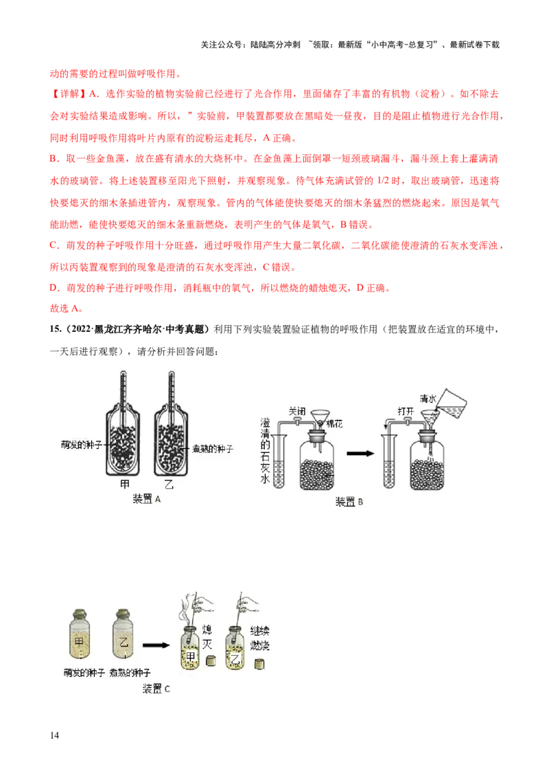 专题08绿色植物的呼吸作用（练习）（解析版）_02中考总复习（2026版更新中）_08-生物-中考总复习_2024年中考复习资料_一轮复习_❤2024年中考生物一轮复习讲练测（全国通用）_练习