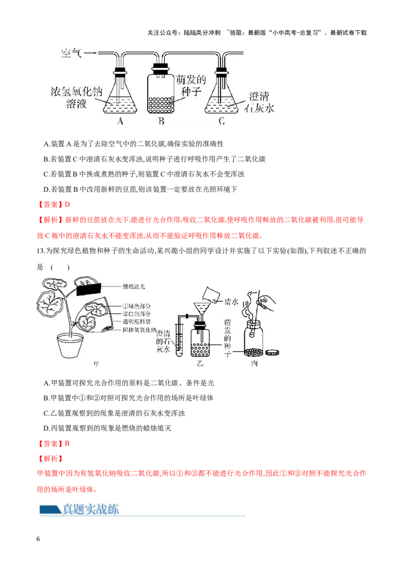 专题08绿色植物的呼吸作用（练习）（解析版）_02中考总复习（2026版更新中）_08-生物-中考总复习_2024年中考复习资料_一轮复习_❤2024年中考生物一轮复习讲练测（全国通用）_练习