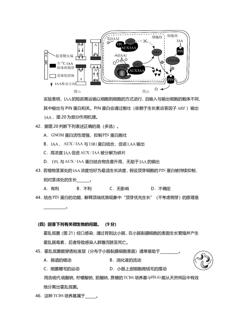 2015年上海市高中毕业统一学业考试生物试卷（word解析版）_全国卷+地方卷_6.生物_1.生物高考真题试卷_2008-2020年_地方卷_上海高考生物真题01-20
