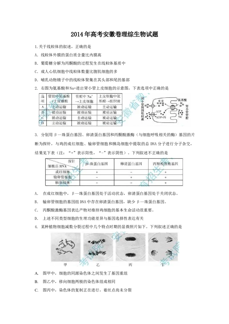 2014年安徽高考生物真题及答案_全国卷+地方卷_6.生物_1.生物高考真题试卷_2008-2020年_地方卷_安徽高考生物08-20