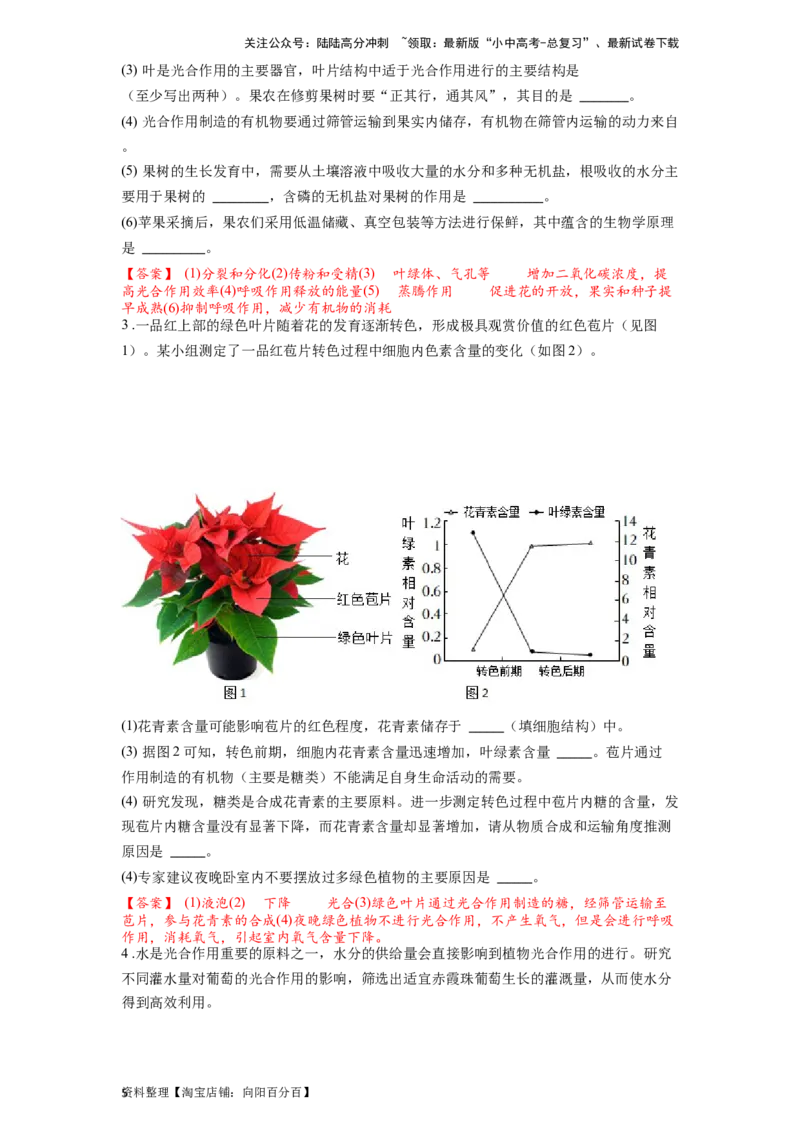 专题08绿色植物的蒸腾作用测试（解析版）_02中考总复习（2026版更新中）_08-生物-中考总复习_2024年中考复习资料_一轮复习_配套练习_教师版（含答案解析）