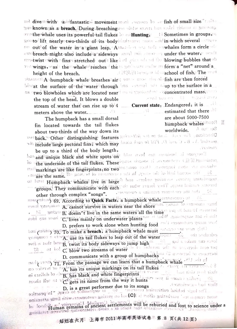 2011年上海高考英语真题试卷（图片版）_全国卷+地方卷_3.英语_1.英语高考真题试卷_2008-2020年_地方卷_上海高考英语真题04-19_2019-2004上海高考英语真题卷及答案PDF版