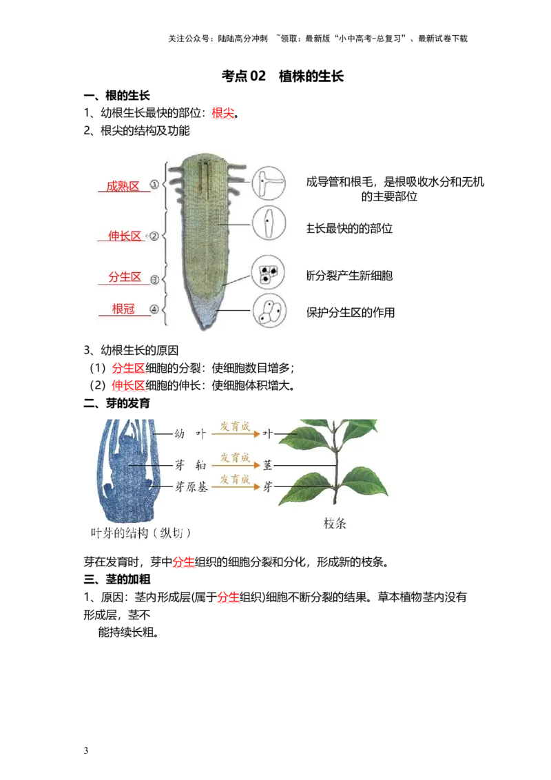 专题05被子植物的一生（背记帮）-备战2024年中考生物一轮复习考点帮_02中考总复习（2026版更新中）_08-生物-中考总复习_2024年中考复习资料_一轮复习_必背考点