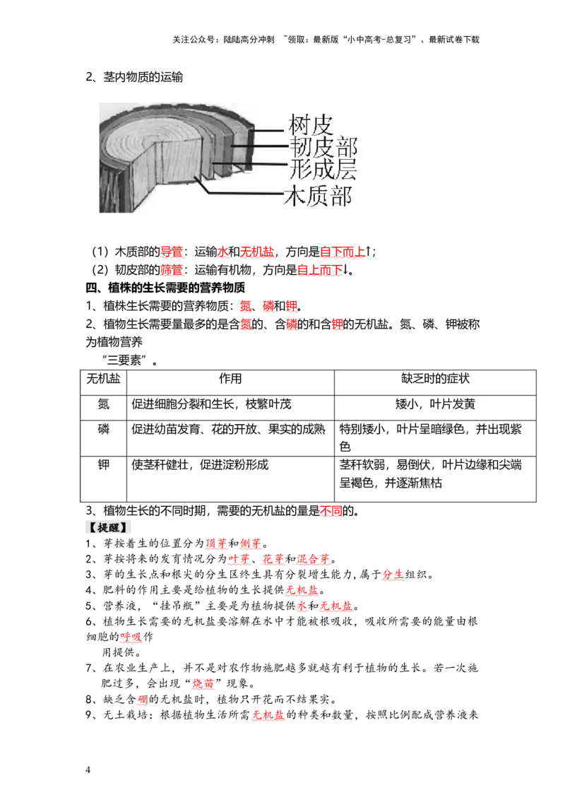 专题05被子植物的一生（背记帮）-备战2024年中考生物一轮复习考点帮_02中考总复习（2026版更新中）_08-生物-中考总复习_2024年中考复习资料_一轮复习_必背考点