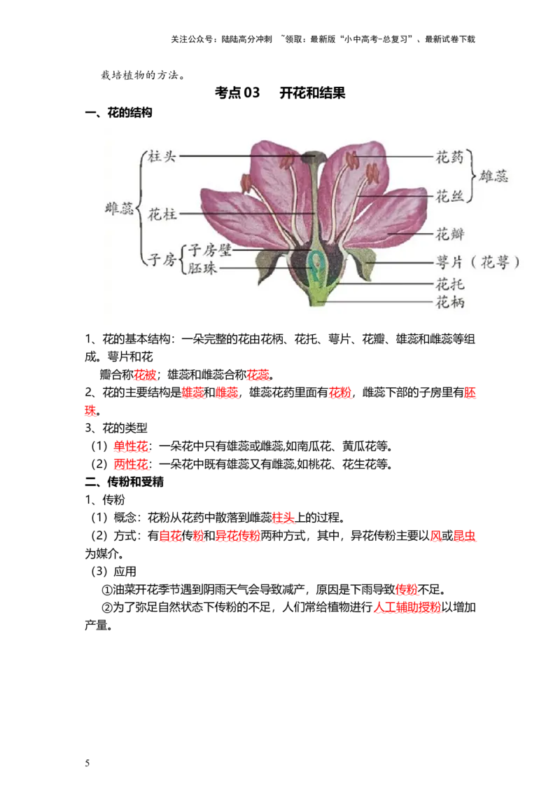 专题05被子植物的一生（背记帮）-备战2024年中考生物一轮复习考点帮_02中考总复习（2026版更新中）_08-生物-中考总复习_2024年中考复习资料_一轮复习_必背考点