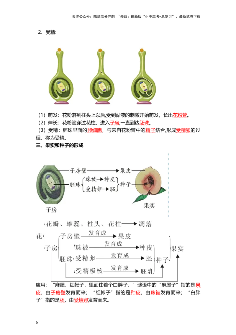专题05被子植物的一生（背记帮）-备战2024年中考生物一轮复习考点帮_02中考总复习（2026版更新中）_08-生物-中考总复习_2024年中考复习资料_一轮复习_必背考点