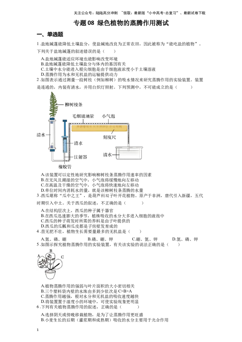 专题08绿色植物的蒸腾作用（原卷版）_02中考总复习（2026版更新中）_08-生物-中考总复习_2024年中考复习资料_一轮复习_配套练习