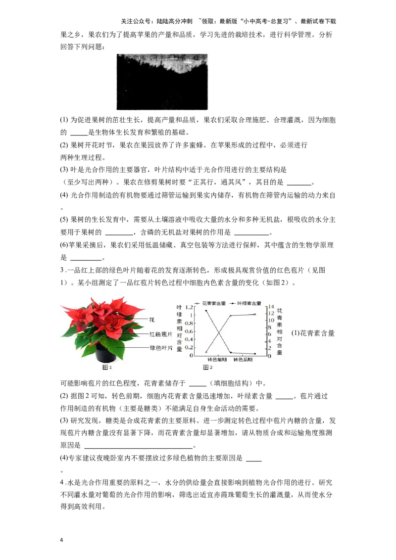 专题08绿色植物的蒸腾作用（原卷版）_02中考总复习（2026版更新中）_08-生物-中考总复习_2024年中考复习资料_一轮复习_配套练习
