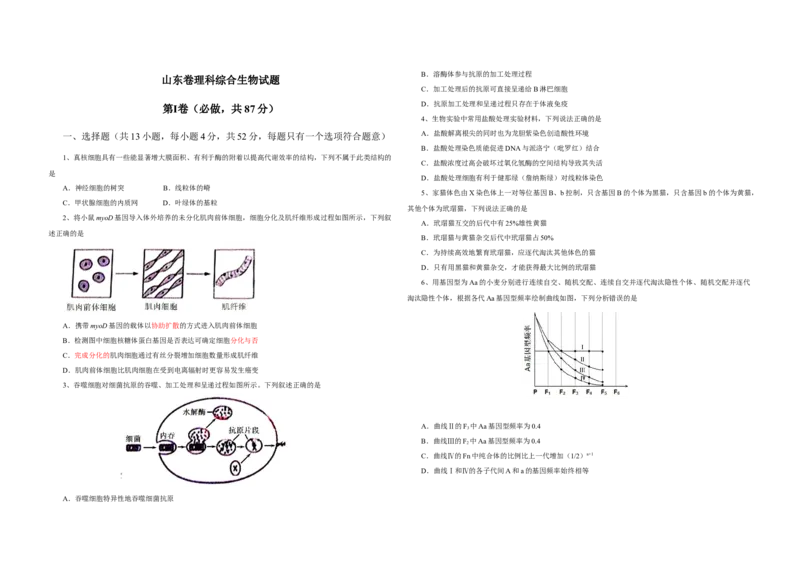 2013年高考真题生物（山东卷）（原卷版）_全国卷+地方卷_6.生物_1.生物高考真题试卷_2008-2020年_地方卷_山东高考生物08-21_山东高考生物_A3版