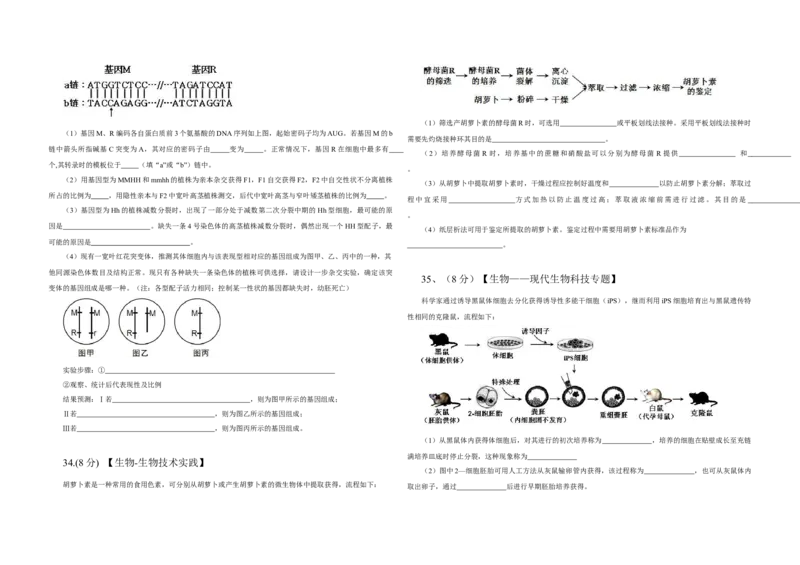 2013年高考真题生物（山东卷）（原卷版）_全国卷+地方卷_6.生物_1.生物高考真题试卷_2008-2020年_地方卷_山东高考生物08-21_山东高考生物_A3版