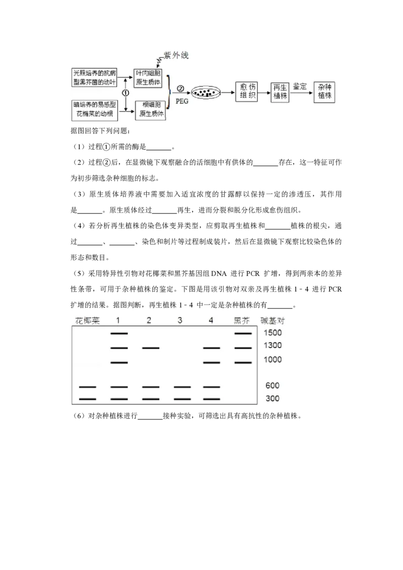 2013年天津市高考生物试卷_全国卷+地方卷_6.生物_1.生物高考真题试卷_2008-2020年_地方卷_天津高考生物07-21_A4word版_天津生物PDF版（赠送）