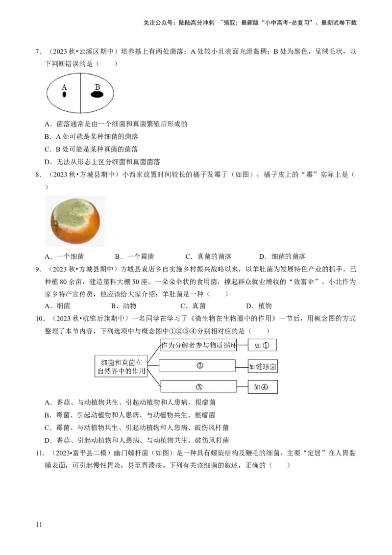专题04细菌、真菌和病毒（原卷版）_02中考总复习（2026版更新中）_08-生物-中考总复习_2024年中考复习资料_专项复习_备战2024年中考生物真题题源解密