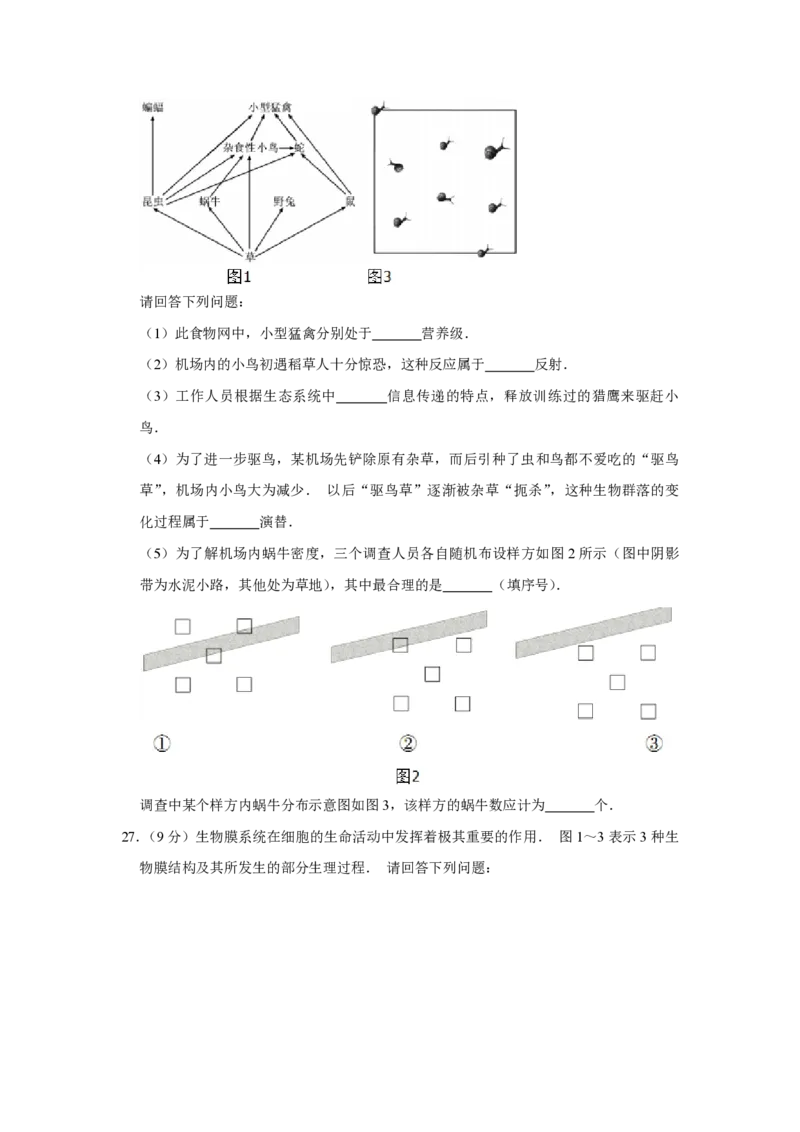 2014年江苏省高考生物试卷_全国卷+地方卷_6.生物_1.生物高考真题试卷_2008-2020年_地方卷_江苏高考生物07-20_A4word版_PDF版（赠送）