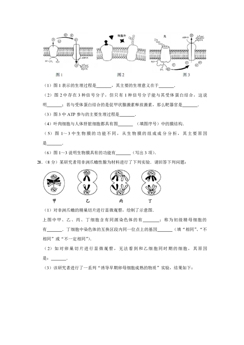 2014年江苏省高考生物试卷_全国卷+地方卷_6.生物_1.生物高考真题试卷_2008-2020年_地方卷_江苏高考生物07-20_A4word版_PDF版（赠送）