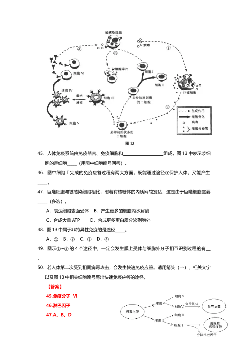 2013年上海市高中毕业统一学业考试生物试卷（word解析版）_全国卷+地方卷_6.生物_1.生物高考真题试卷_2008-2020年_地方卷_上海高考生物真题01-20