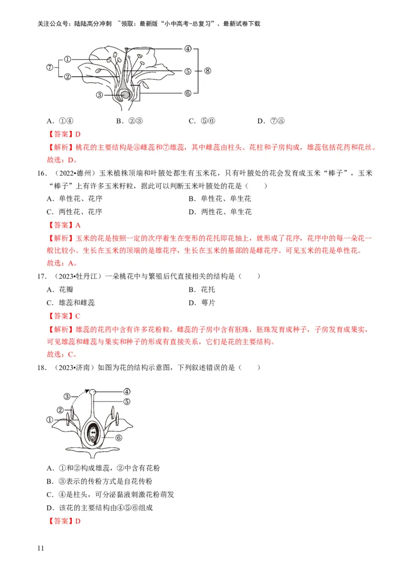 专题08被子植物的一生（解析版）_02中考总复习（2026版更新中）_08-生物-中考总复习_2024年中考复习资料_专项复习_备战2024年中考生物真题题源解密