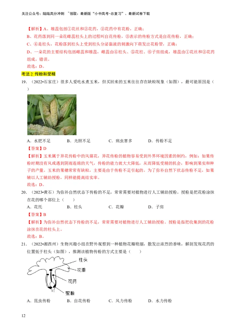 专题08被子植物的一生（解析版）_02中考总复习（2026版更新中）_08-生物-中考总复习_2024年中考复习资料_专项复习_备战2024年中考生物真题题源解密