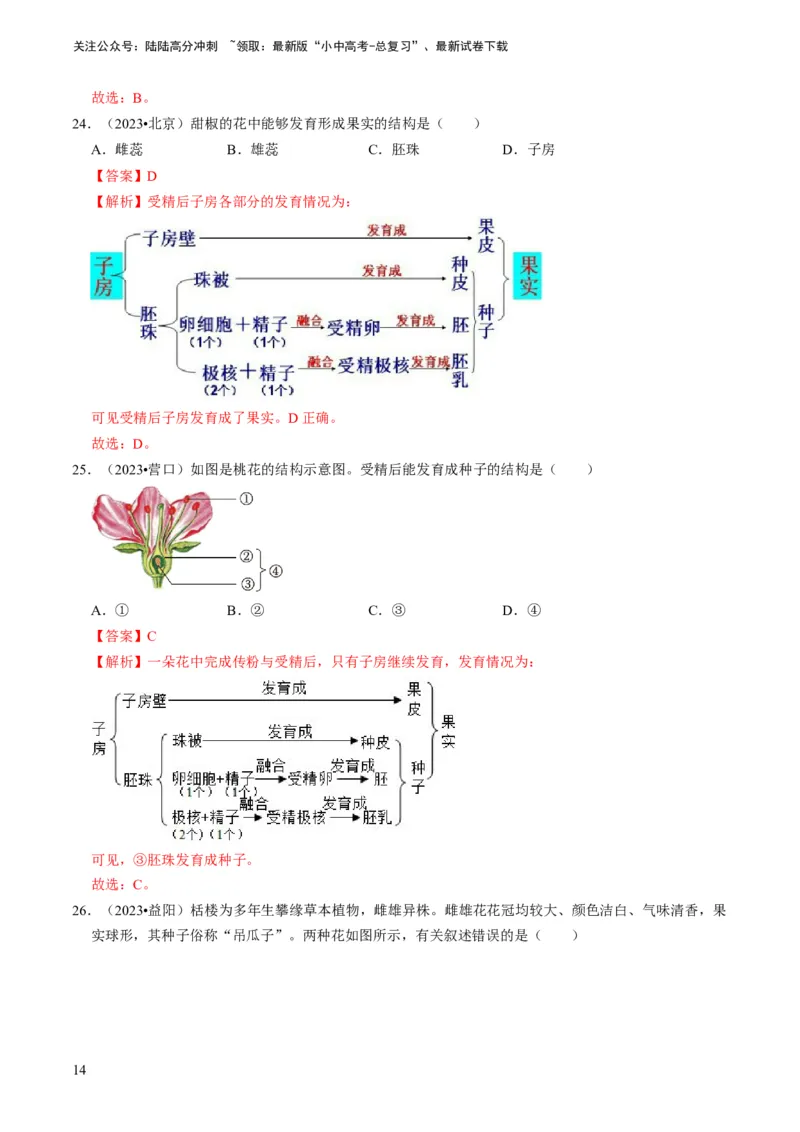 专题08被子植物的一生（解析版）_02中考总复习（2026版更新中）_08-生物-中考总复习_2024年中考复习资料_专项复习_备战2024年中考生物真题题源解密
