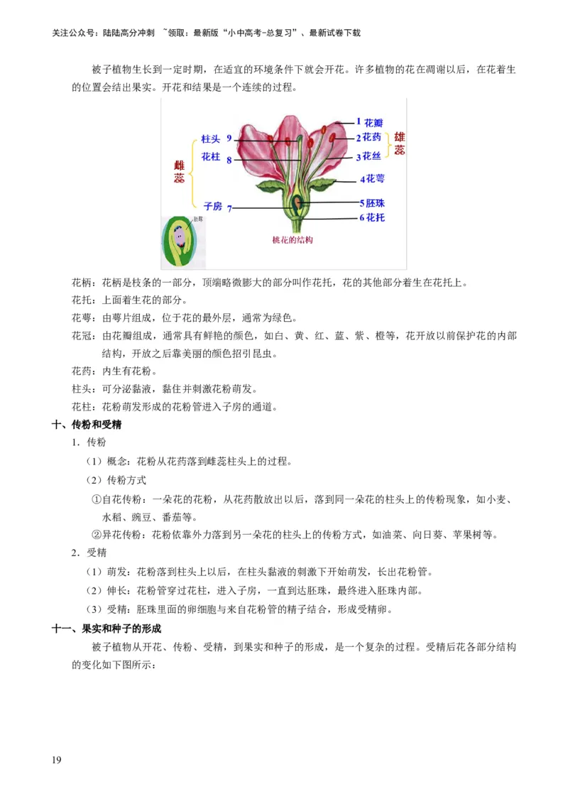 专题08被子植物的一生（解析版）_02中考总复习（2026版更新中）_08-生物-中考总复习_2024年中考复习资料_专项复习_备战2024年中考生物真题题源解密