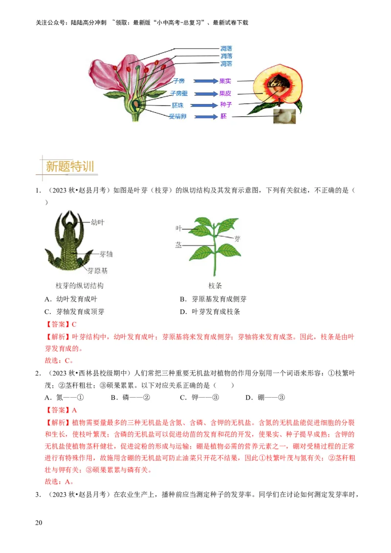 专题08被子植物的一生（解析版）_02中考总复习（2026版更新中）_08-生物-中考总复习_2024年中考复习资料_专项复习_备战2024年中考生物真题题源解密