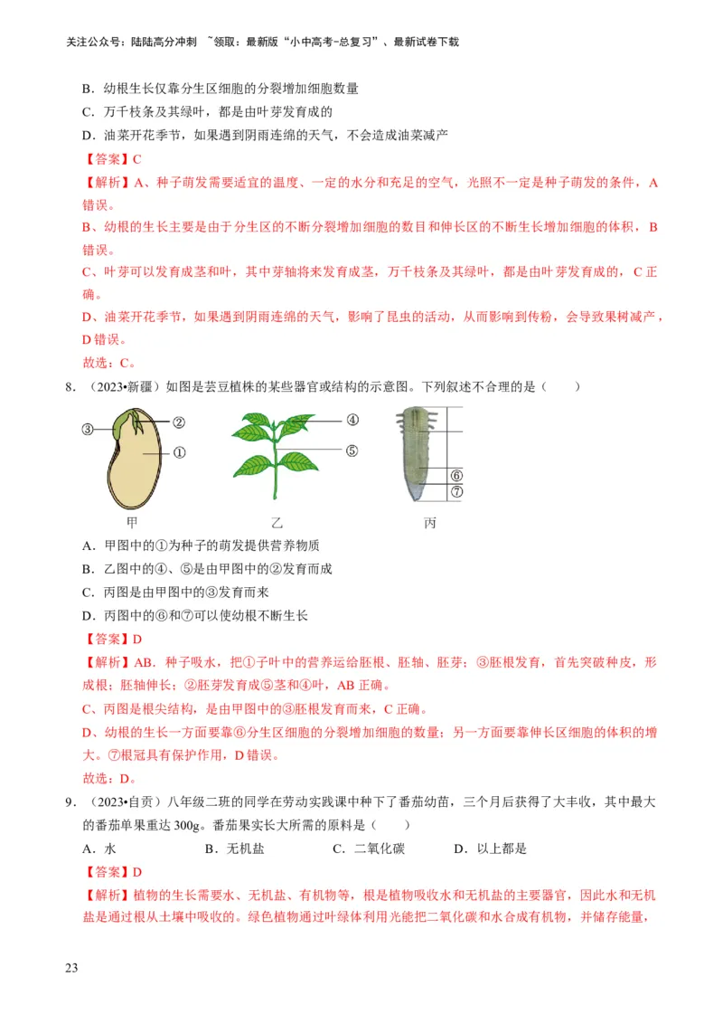 专题08被子植物的一生（解析版）_02中考总复习（2026版更新中）_08-生物-中考总复习_2024年中考复习资料_专项复习_备战2024年中考生物真题题源解密